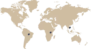 World map showing the origins of Caffè Borbone coffee beans, sourced from South America, Central Africa, and Southeast Asia.