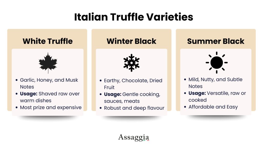 A comparison of White Truffle, Winter Black Truffle, and Summer Black Truffle, displaying their seasonality, key flavour notes, and recommended cooking methods side-by-side.
