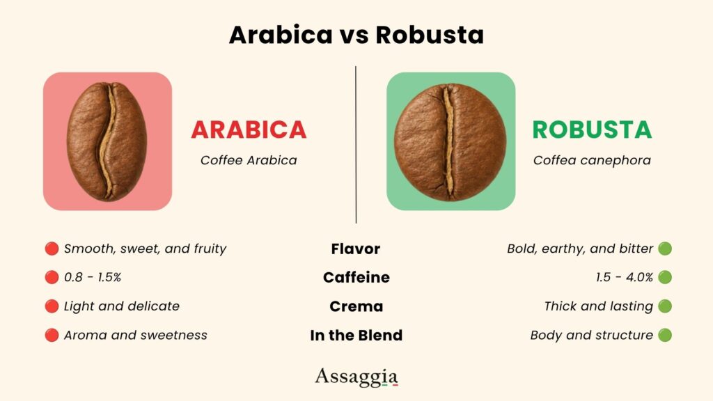 Comparison infographic showing Arabica and Robusta coffee beans, including flavour, caffeine, crema and role in Italian espresso blends.